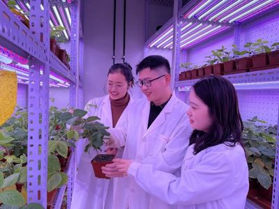 河南大學 聚焦農業科技創新，打造現代農業發展新高地